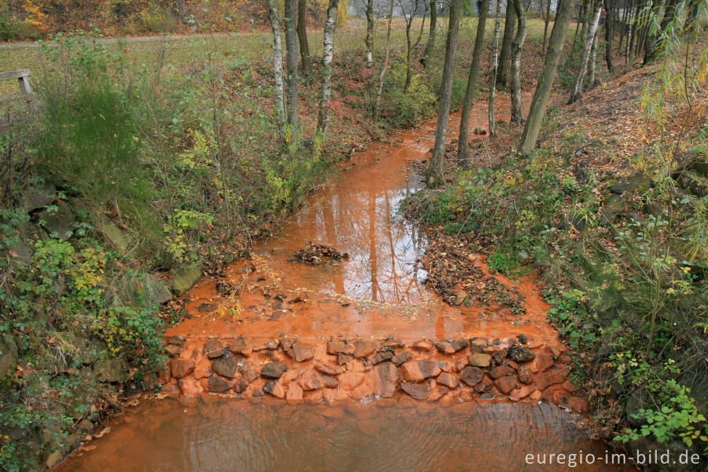 Detailansicht von Der Schleebach unterhalb der Dreilägerbachtallsperre, Nordeifel