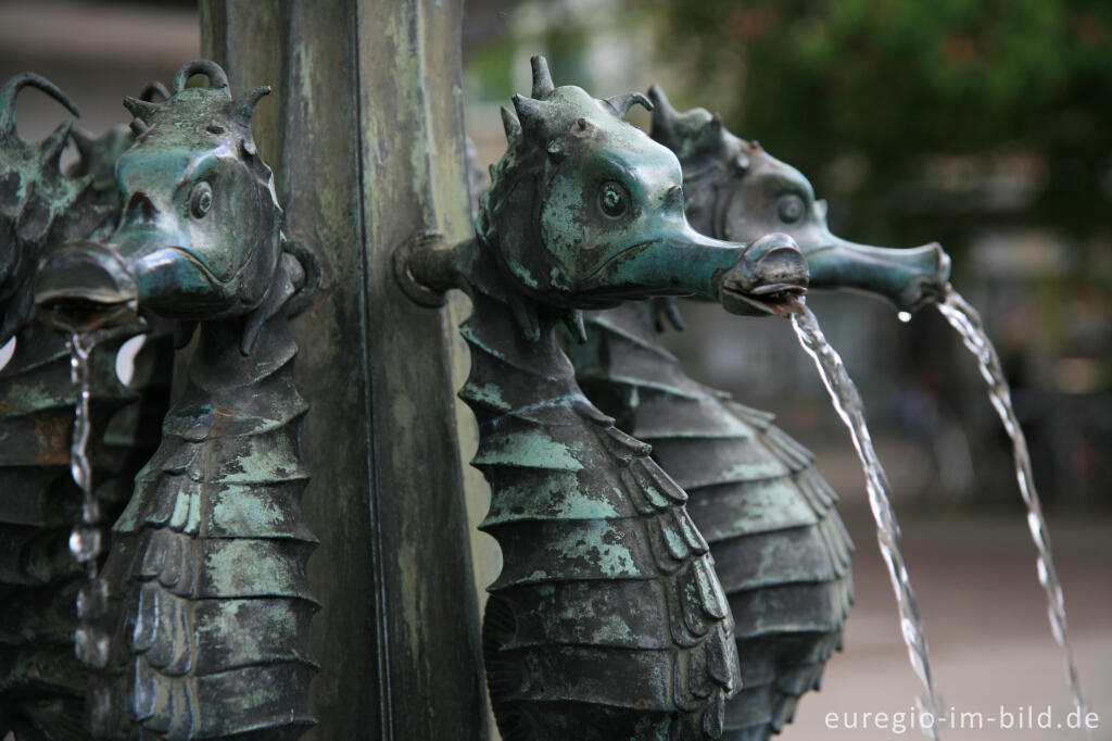 Detailansicht von Der Seepferdchenbrunnen in Aachen Burtscheid