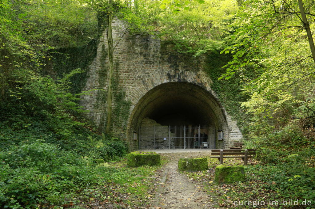 Detailansicht von Der Silberbergtunnel bei Ahrweiler