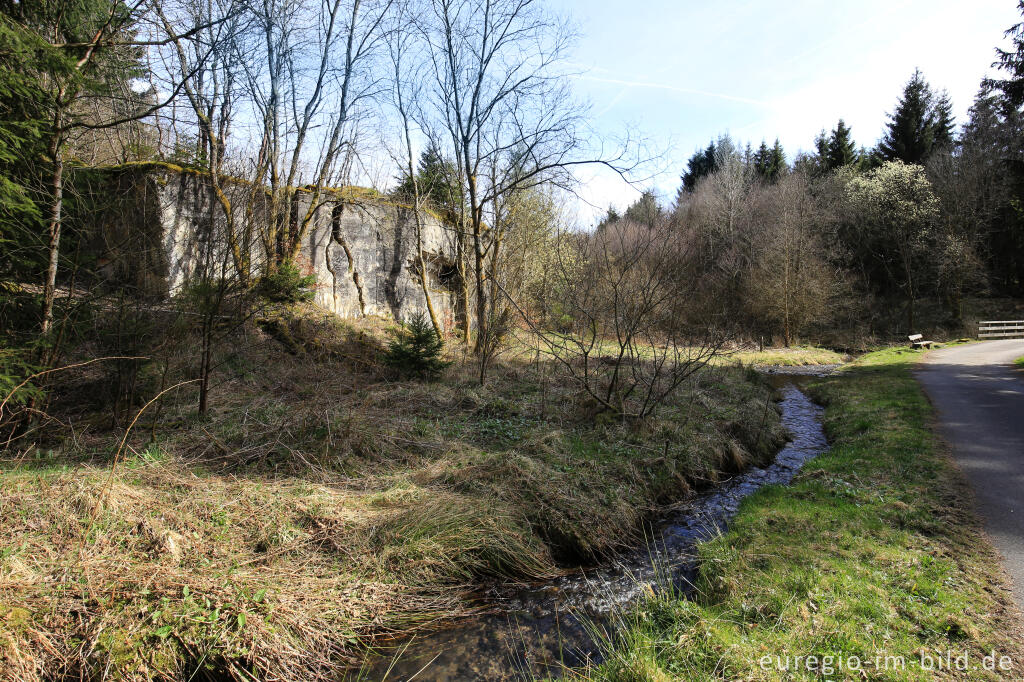 Detailansicht von Der Sprengbunker im Fuhrtsbachtal bei Alzen (Höfen)