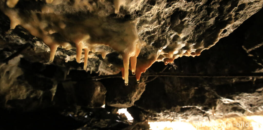 Detailansicht von Der Sprengbunker im Fuhrtsbachtal bei Alzen (Höfen)