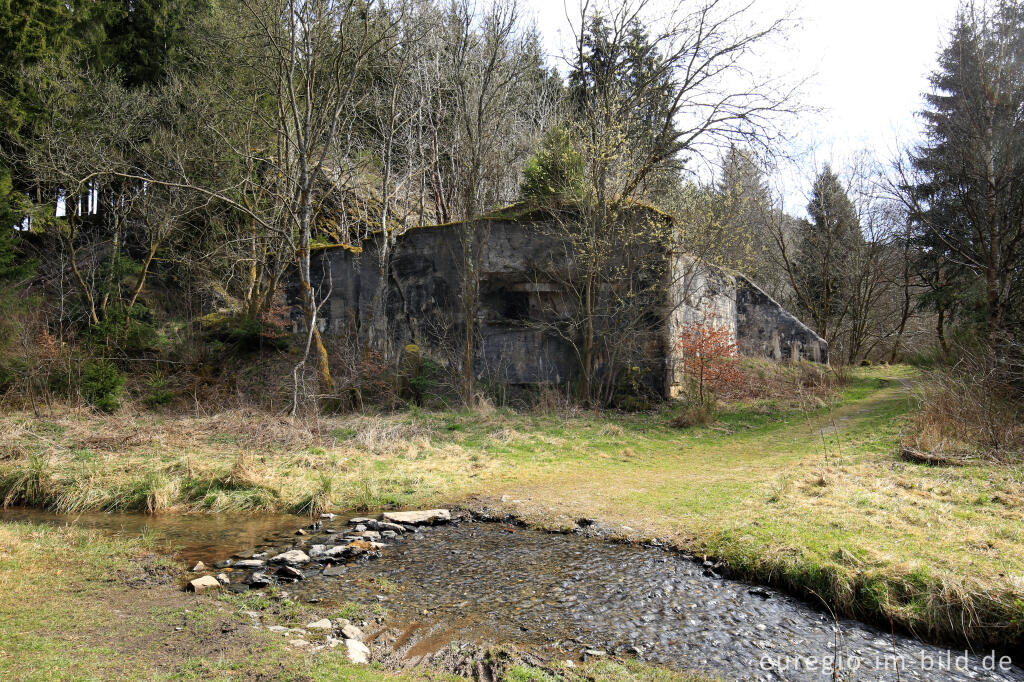 Detailansicht von Der Sprengbunker im Fuhrtsbachtal bei Alzen (Höfen)