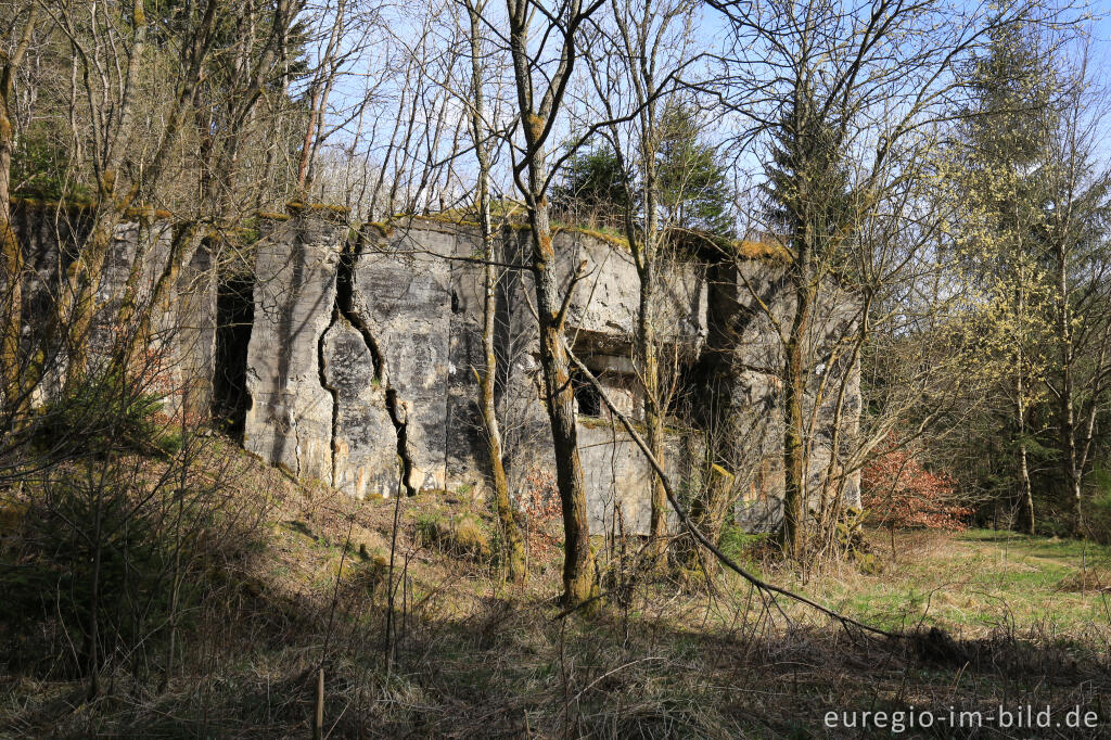 Detailansicht von Der Sprengbunker im Fuhrtsbachtal bei Alzen (Höfen)