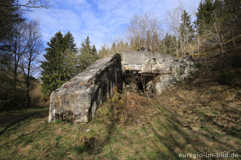 Der Sprengbunker im Fuhrtsbachtal bei Alzen (Höfen)