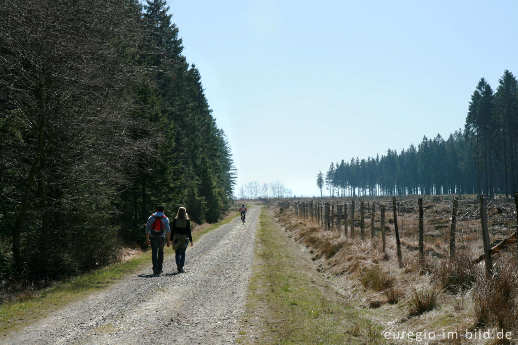 Detailansicht von Der Steling bei Mützenich