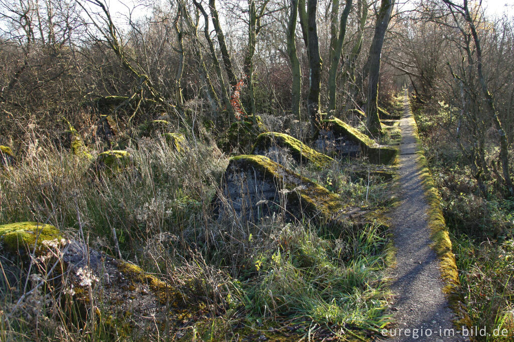 Detailansicht von Der Wanderweg 54 auf der Höckerlinie bei Simmerath