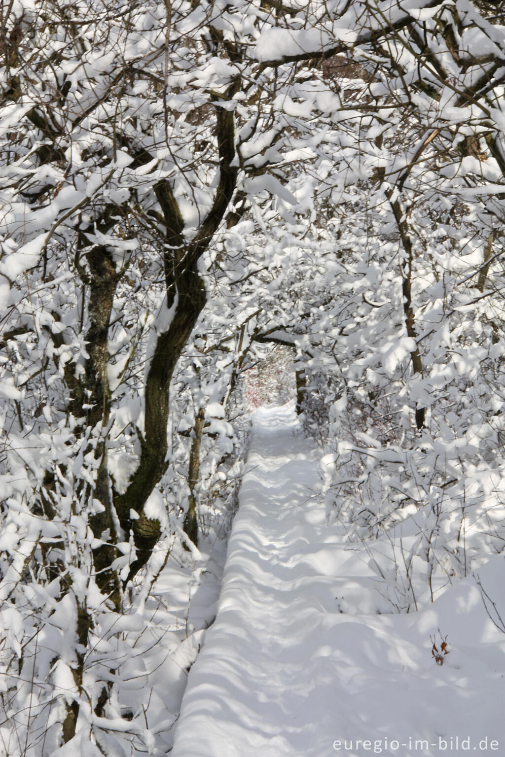 Detailansicht von Der Wanderweg 54 führt bei Simmerath über einen Teil des Westwalls