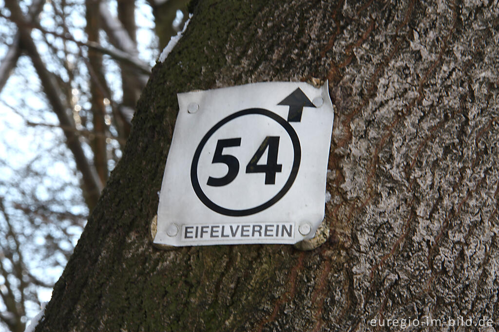 Detailansicht von Der Wanderweg 54 führt bei Simmerath über einen Teil des Westwalls