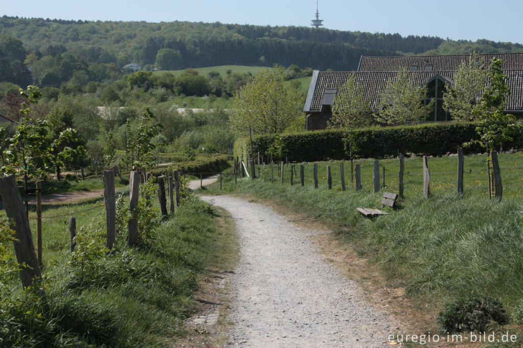 Detailansicht von Der Weg "Am Neuenhof" bei Aachen-Hanbruch