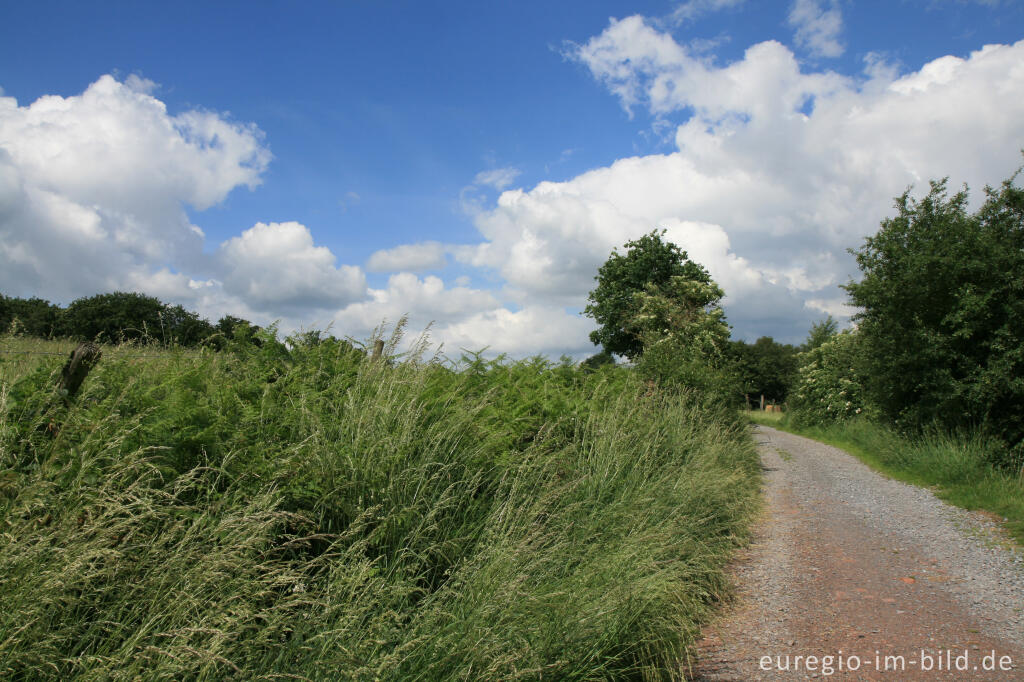 Detailansicht von Der Weiße Weg, Buschweg bei Herzogenrath - Berensberg