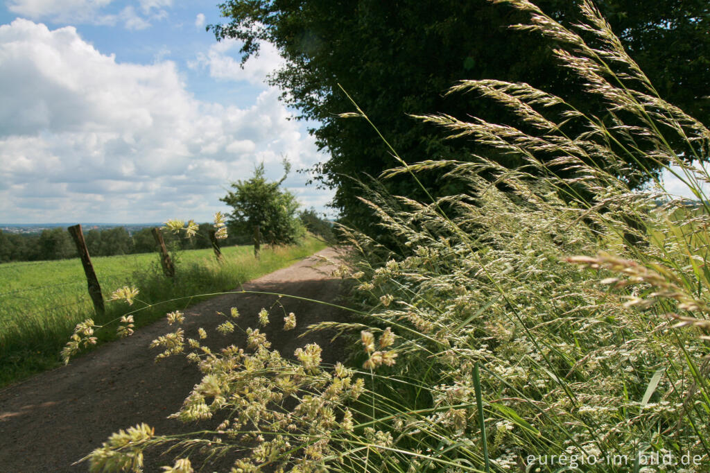 Detailansicht von Der Weiße Weg (Buschweg), beim Blauen Stein, Herzogenrath - Berensberg