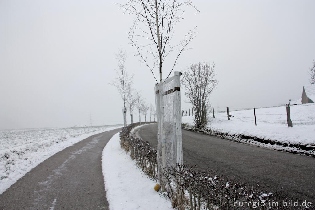 Detailansicht von Der Weiße Weg entlang der Mühlenbachstraße bei Herzogenrath-Bank