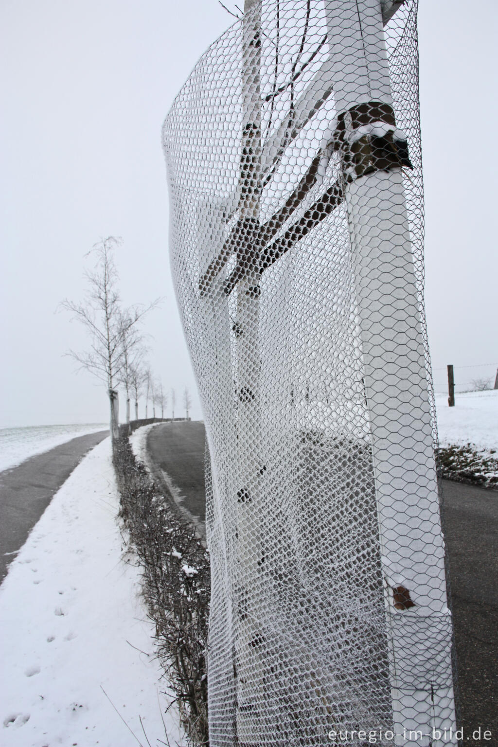 Detailansicht von Der Weiße Weg entlang der Mühlenbachstraße bei Herzogenrath-Bank