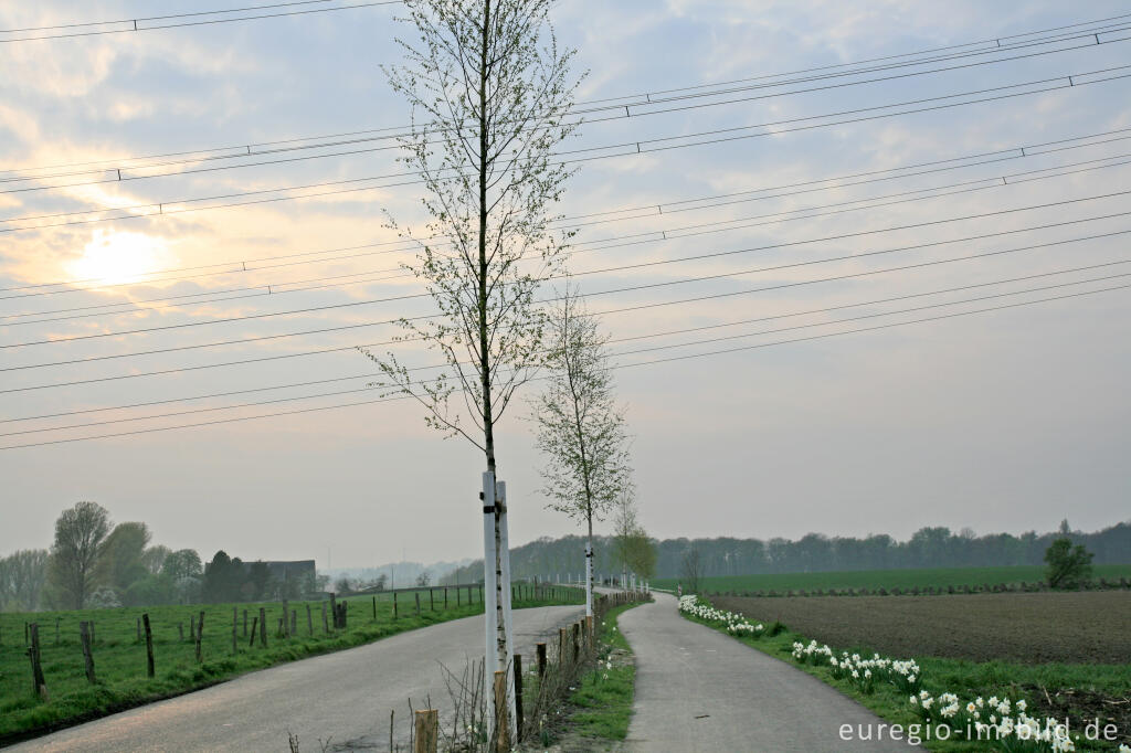 Detailansicht von Der Weiße Weg, Mühlenbachstraße bei Herzogenrath-Kohlscheid