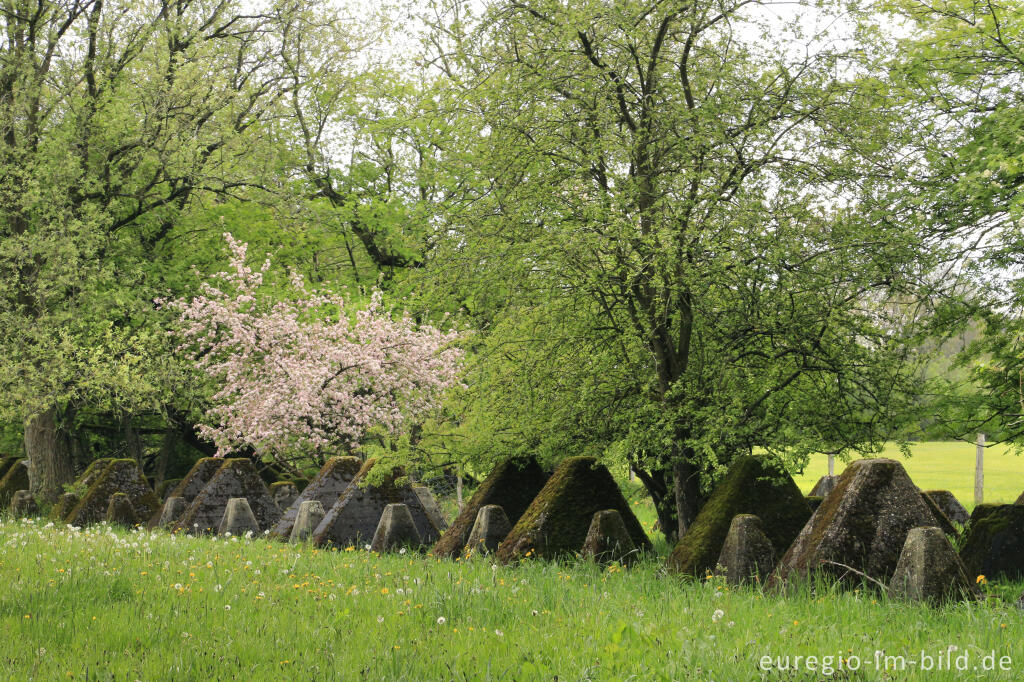 Detailansicht von Der Westwall bei Simmerath