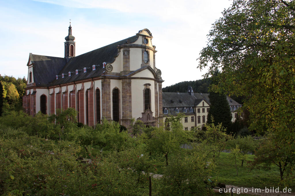 Detailansicht von Die barocke Abteikirche des Klosters Himmerod