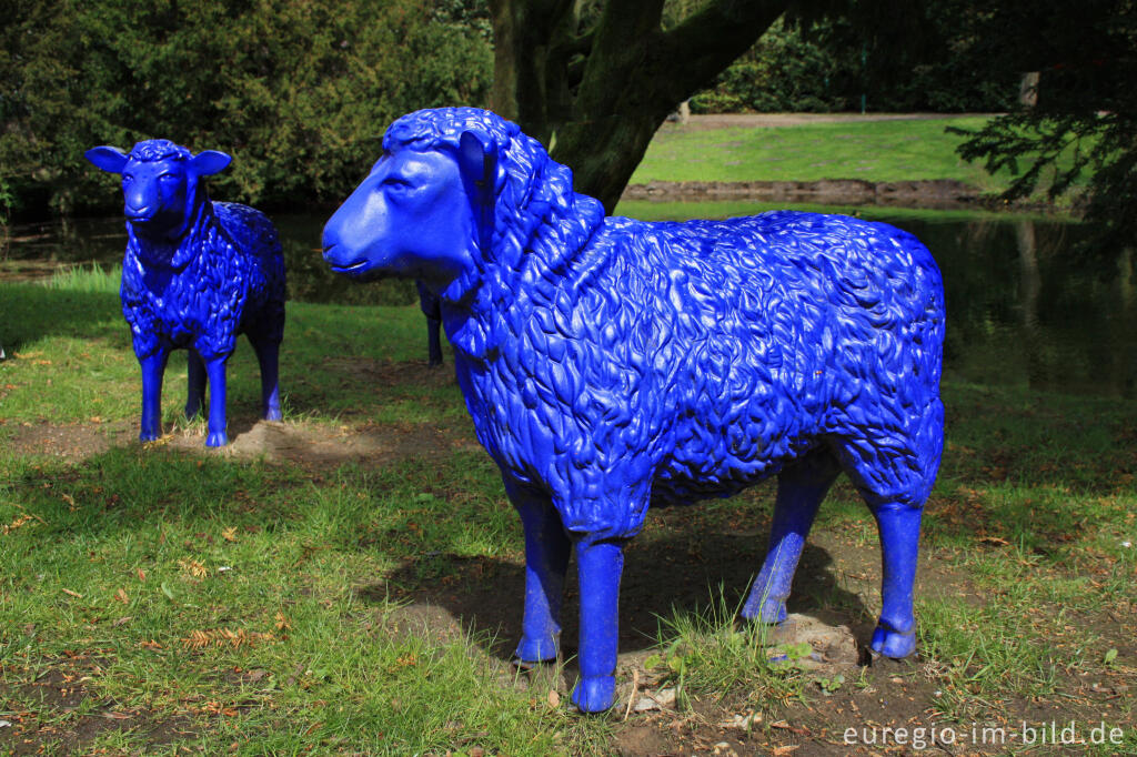 Detailansicht von Die blauen Schafe bei Schloss Neersen