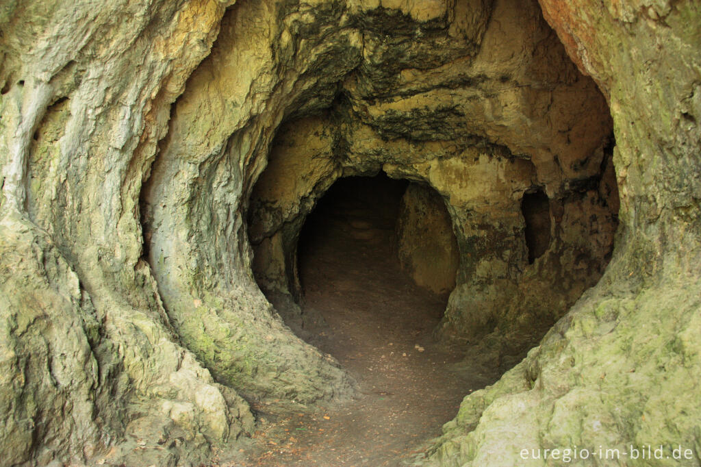 Detailansicht von Die Buchenloch-Höhle im Naturschutzgebiet Gerolsteiner Dolomiten