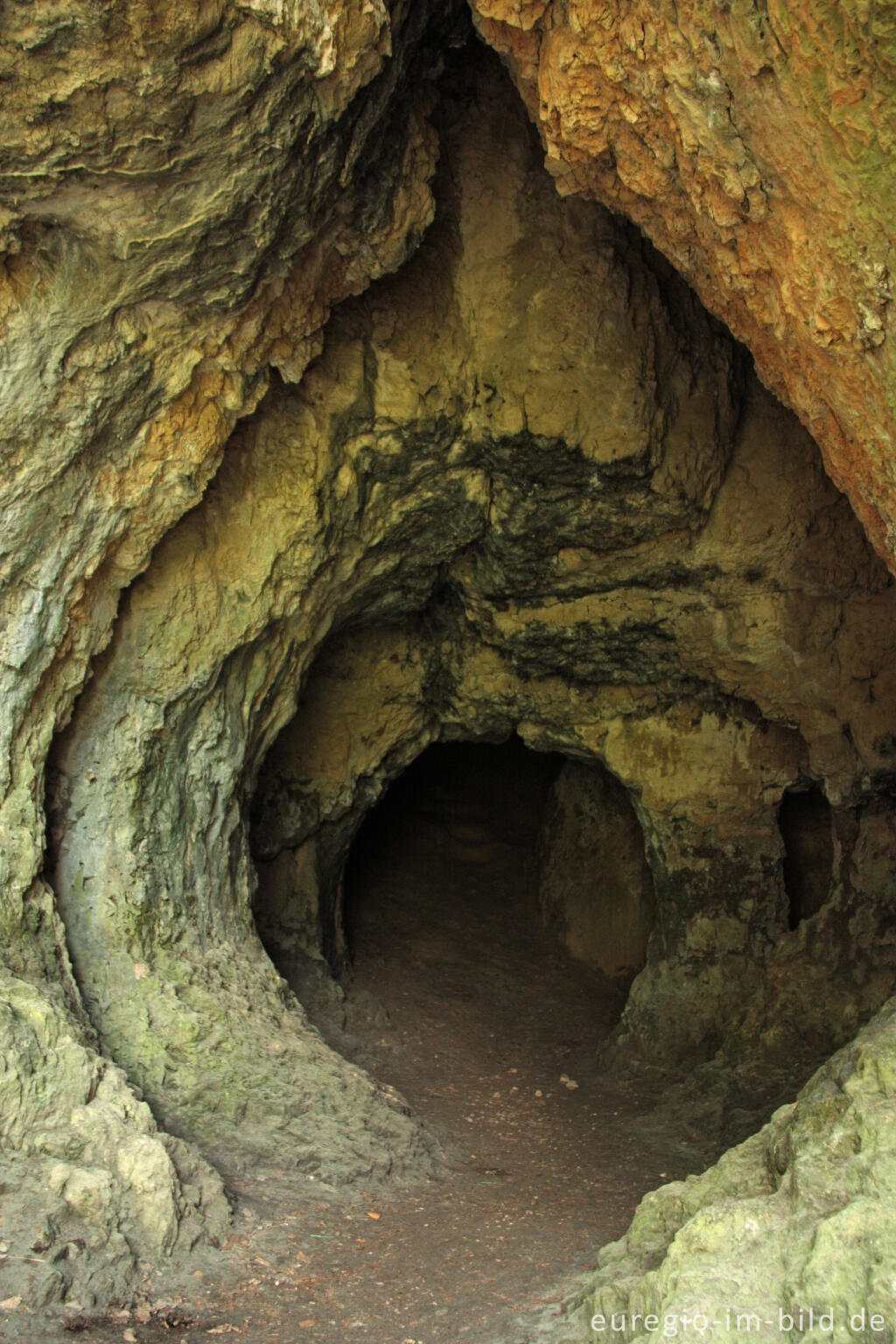 Detailansicht von Die Buchenloch-Höhle im Naturschutzgebiet Gerolsteiner Dolomiten