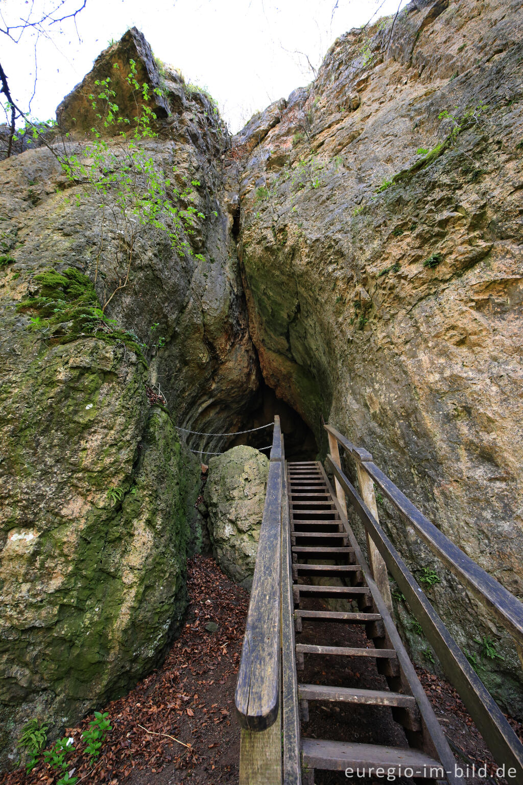 Detailansicht von Die Buchenlochhöhle bei Gerolstein