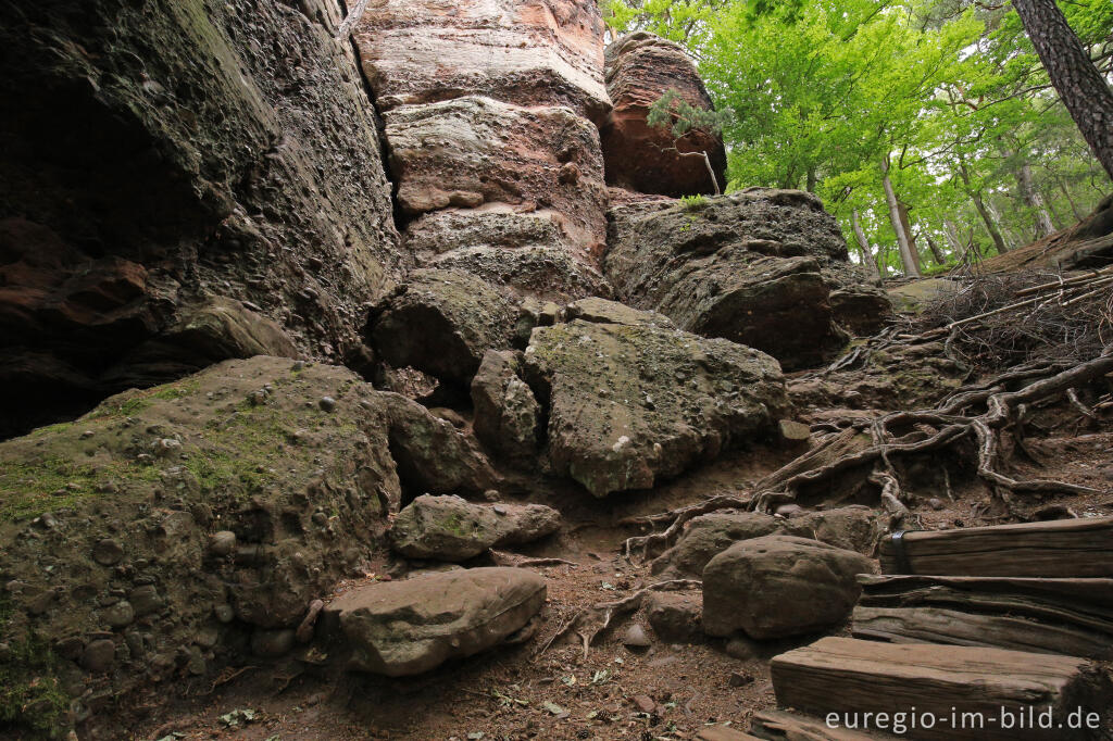 Detailansicht von Die Effels, Kletterfelsen beiNideggen