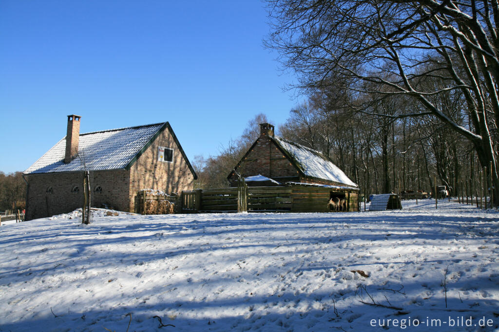 Detailansicht von Die einzige Berghütte der Niederlande im Vijlenerbos