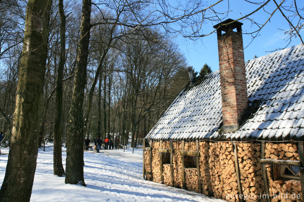 Detailansicht von Die einzige Berghütte der Niederlande im Vijlenerbos