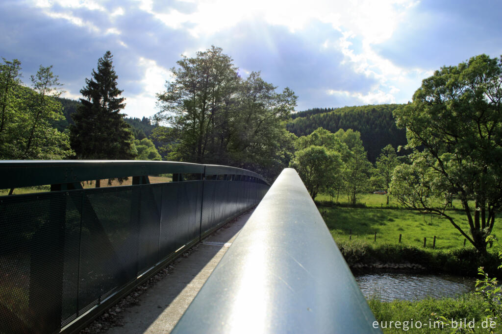 Detailansicht von Die Georges-Wagner-Brücke, Dreiländereck im Ourtal