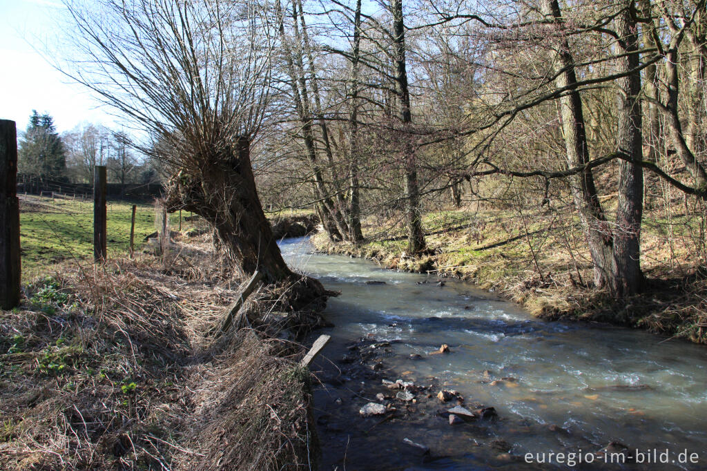 Die Göhl bei Hergenrath in Belgien