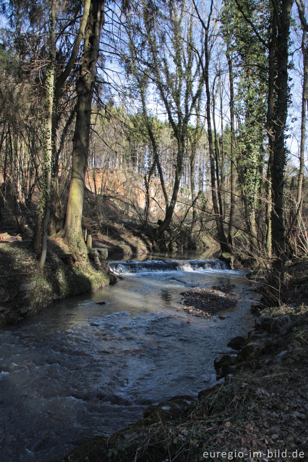 Detailansicht von Die Göhl bei Hergenrath in Belgien