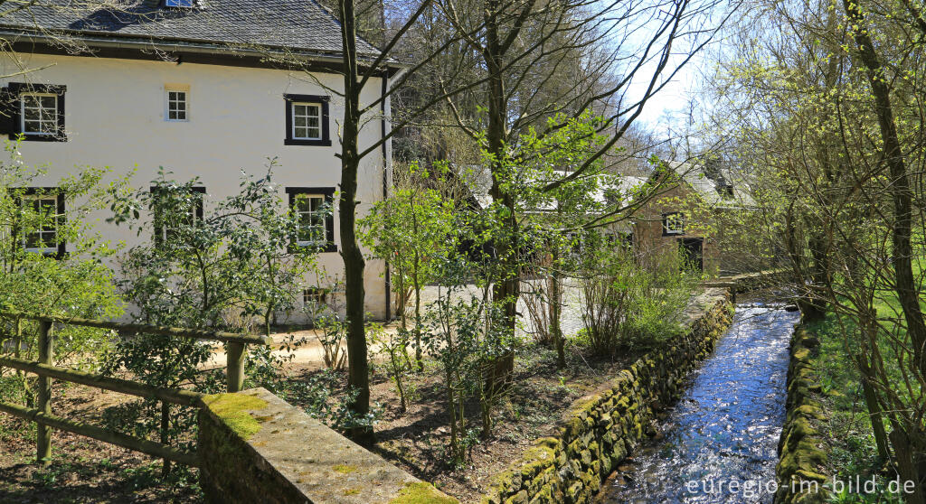 Die Hallenthaler Mühle im Gillesbachtal