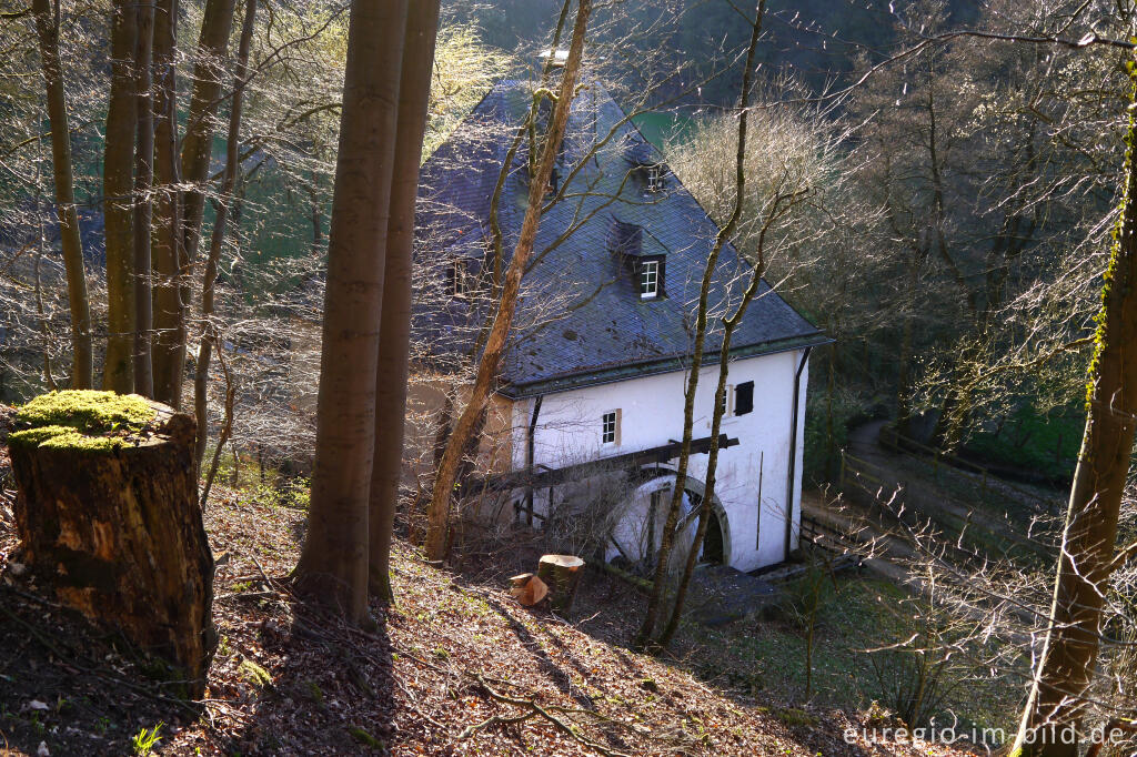 Detailansicht von Die Hallenthaler Mühle im Gillesbachtal