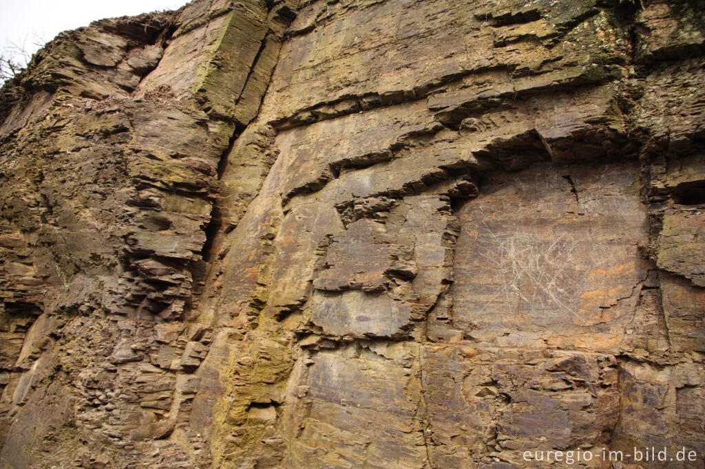 Detailansicht von Die Heimansgroeve, ein geologisches Monument im Geultal