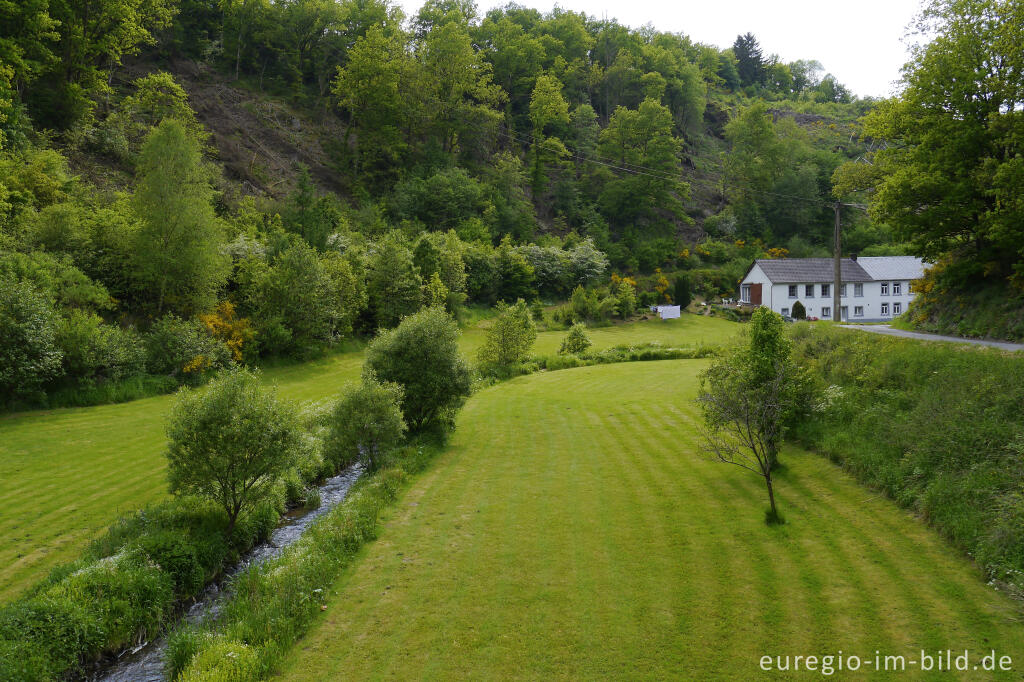 Detailansicht von Die Heinskill-Mühle im Tal des Schiebachs bei Ouren