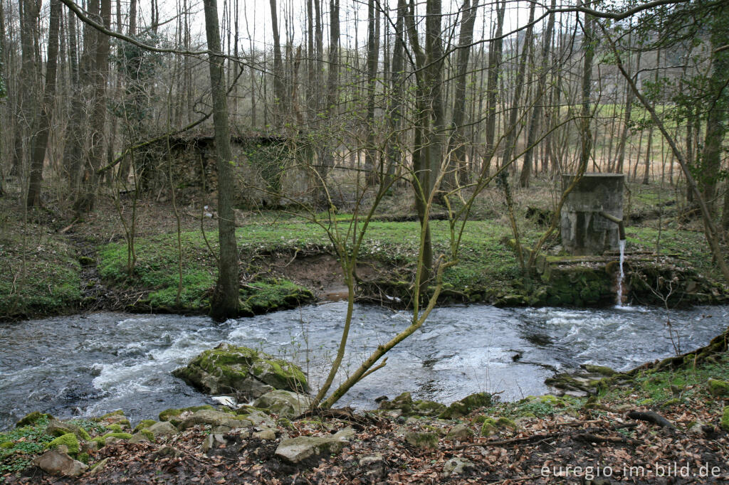 Detailansicht von Die Inde im Klauserwäldchen bei Kornelimünster