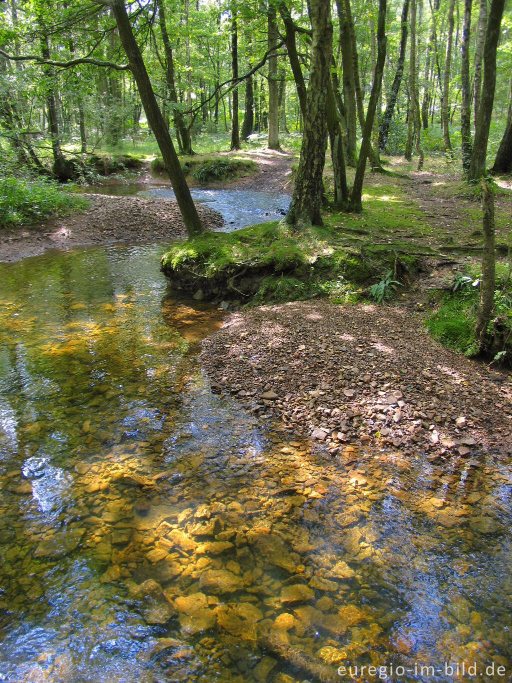 Detailansicht von Die Inde im Münsterwald, Nordeifel