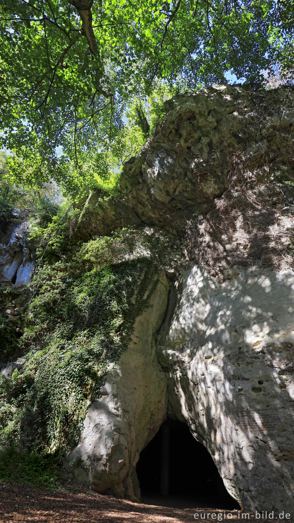 Detailansicht von Die Kakushöhle bei Dreimühlen (Mechernich)