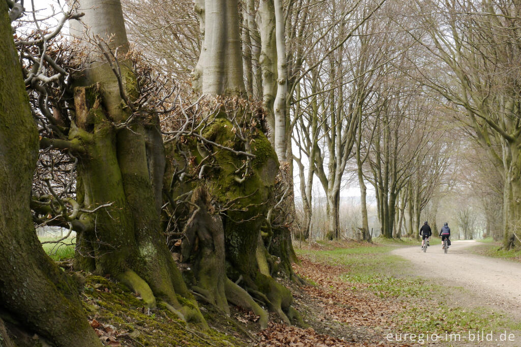 Detailansicht von Die Kalferscheider Gasse bei Simmerath