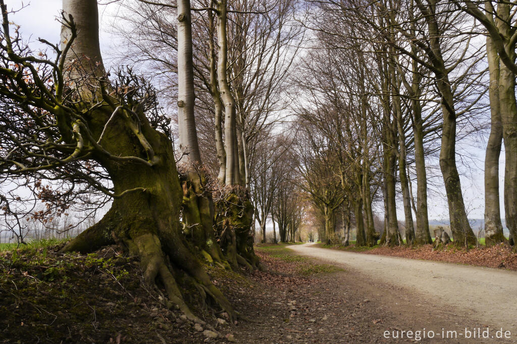 Detailansicht von Die Kalferscheider Gasse bei Simmerath