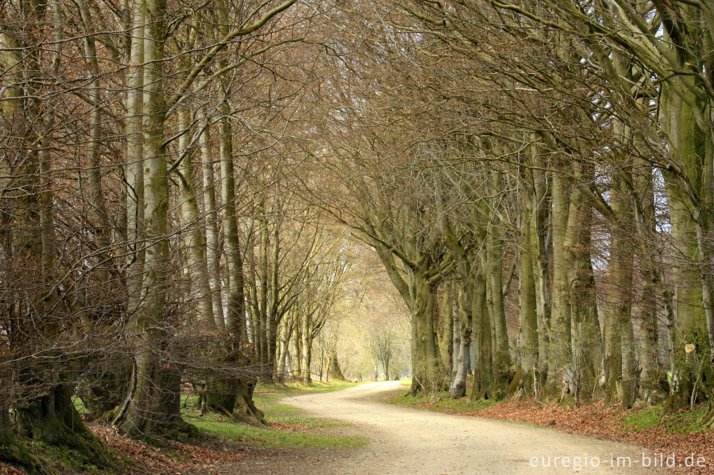 Detailansicht von Die Kalferscheider Gasse bei Simmerath