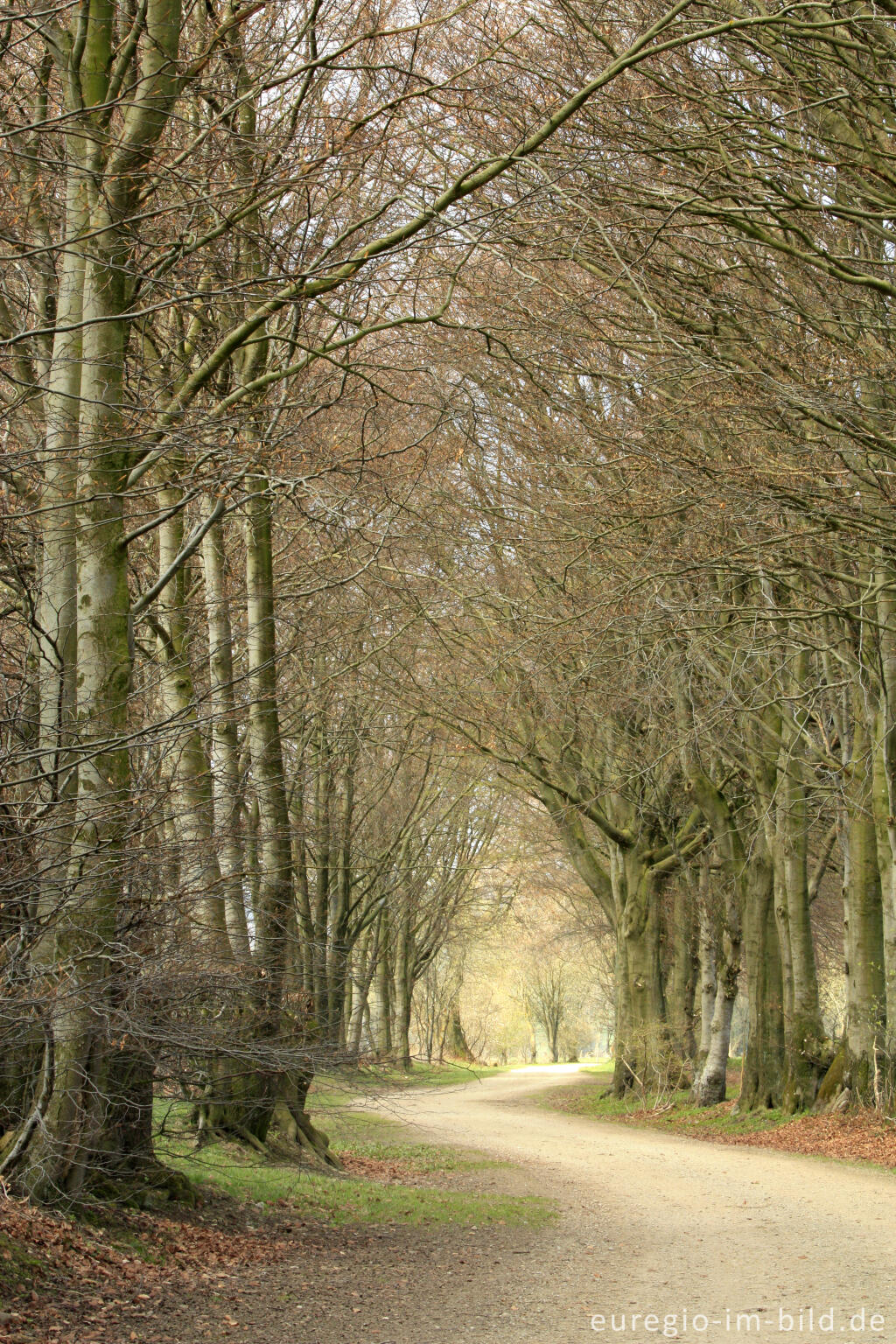 Detailansicht von Die Kalferscheider Gasse bei Simmerath