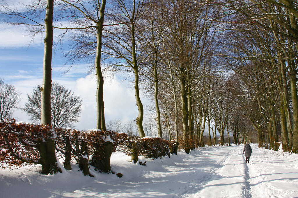 Detailansicht von Die Kalferscheider Gasse bei Simmerath im Winter