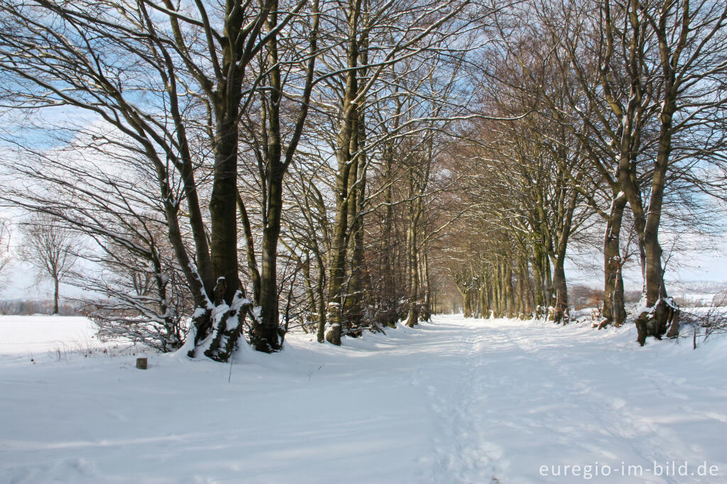 Detailansicht von Die Kalferscheider Gasse bei Simmerath im Winter