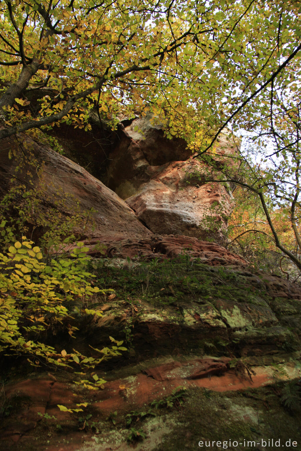 Detailansicht von Die Kaulay, ein Sandsteinfelsen bei Kordel (Eifelsteig)