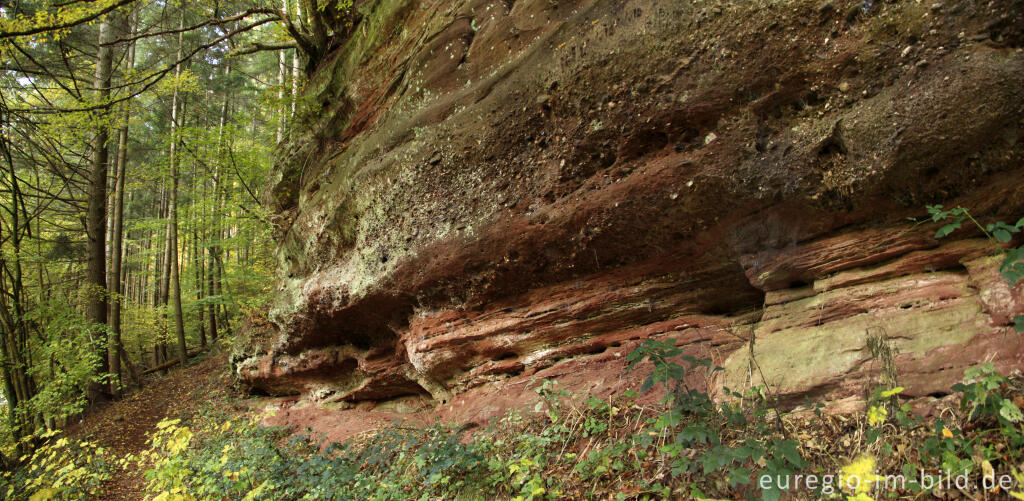 Detailansicht von Die Kaulay, ein Sandsteinfelsen bei Kordel (Eifelsteig)