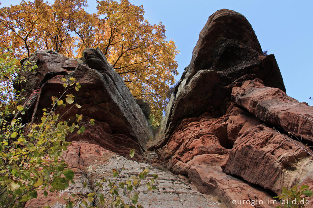 Detailansicht von Die Kaulay, ein Sandsteinfelsen bei Kordel (Eifelsteig)