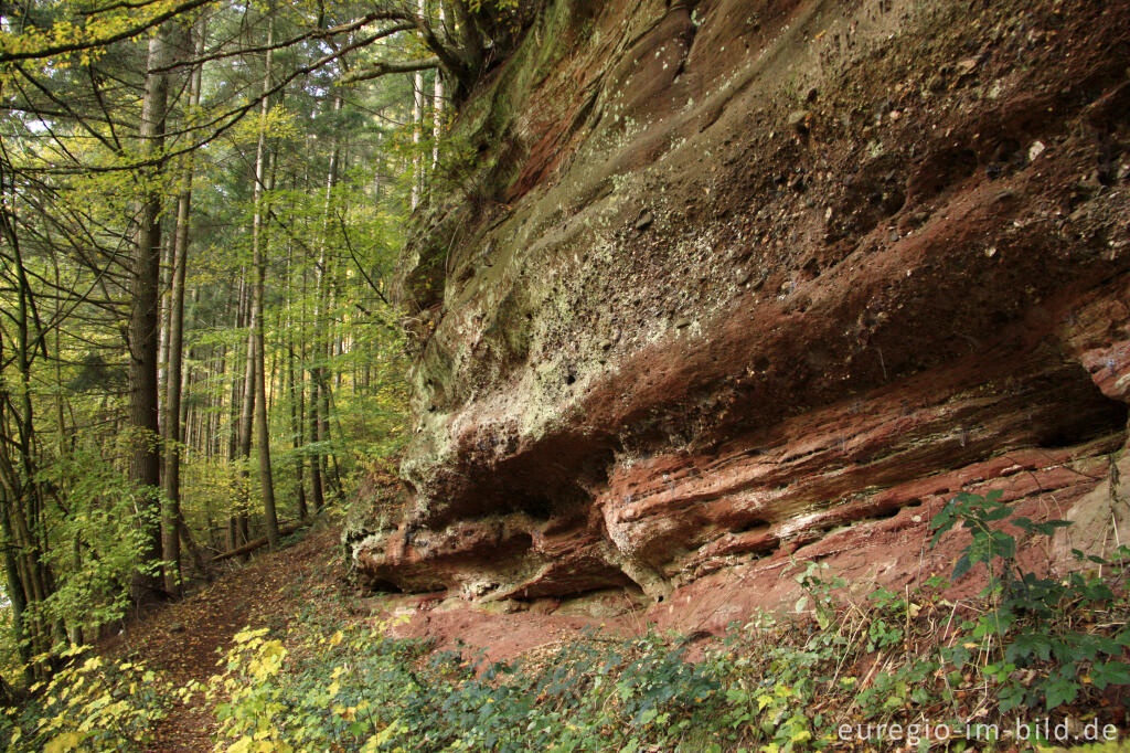 Detailansicht von Die Kaulay, ein Sandsteinfelsen bei Kordel (Eifelsteig)