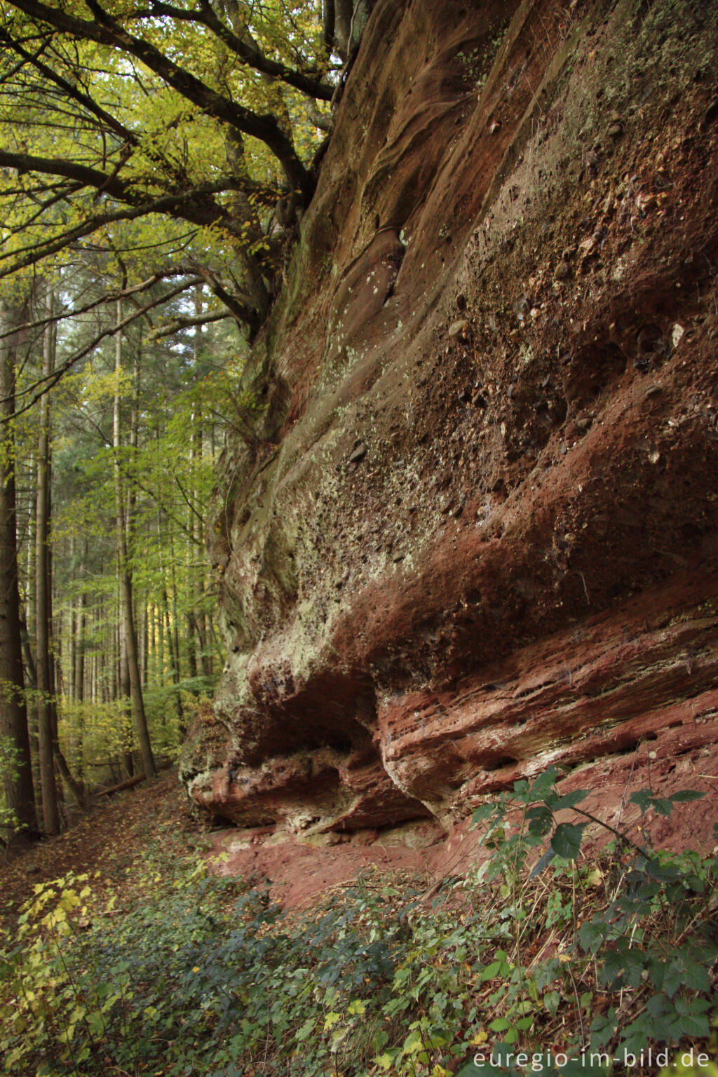 Detailansicht von Die Kaulay, ein Sandsteinfelsen bei Kordel (Eifelsteig)