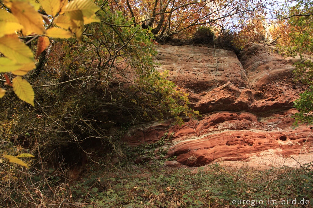 Detailansicht von Die Kaulay, ein Sandsteinfelsen bei Kordel (Eifelsteig)