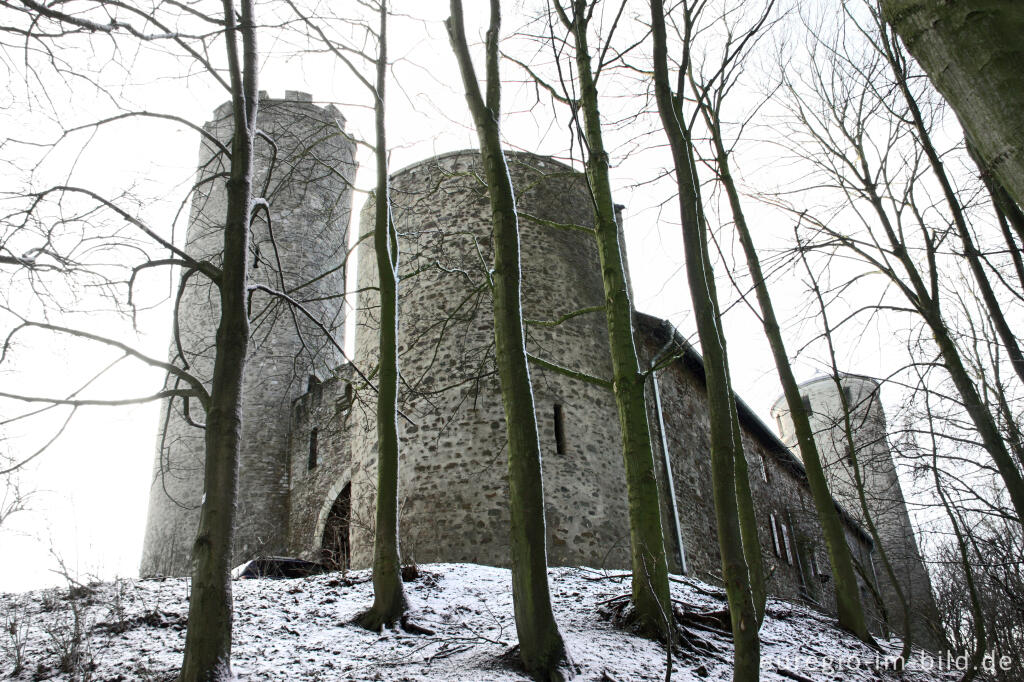 Detailansicht von Die Laufenburg bei Langerwehe